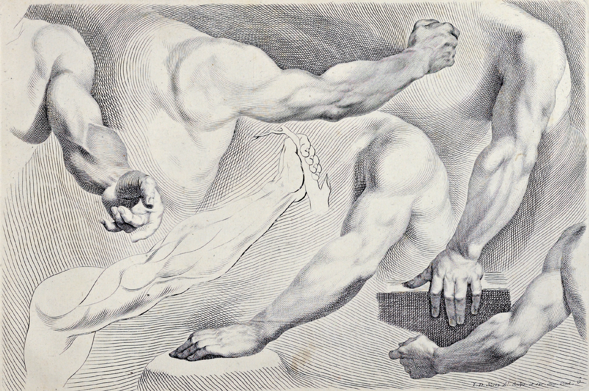 eBook Human Form big fish