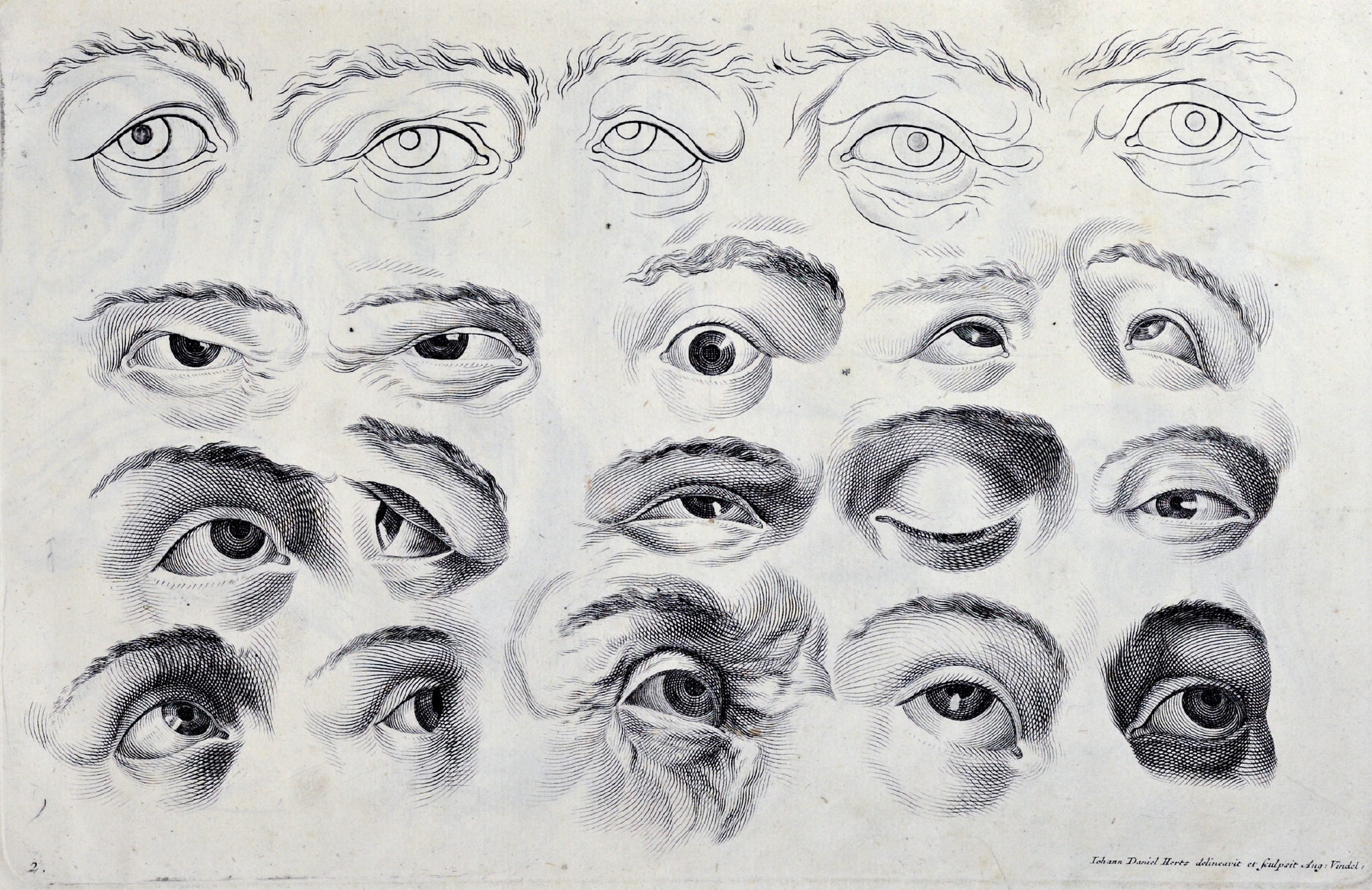 eBook Human Form big fish