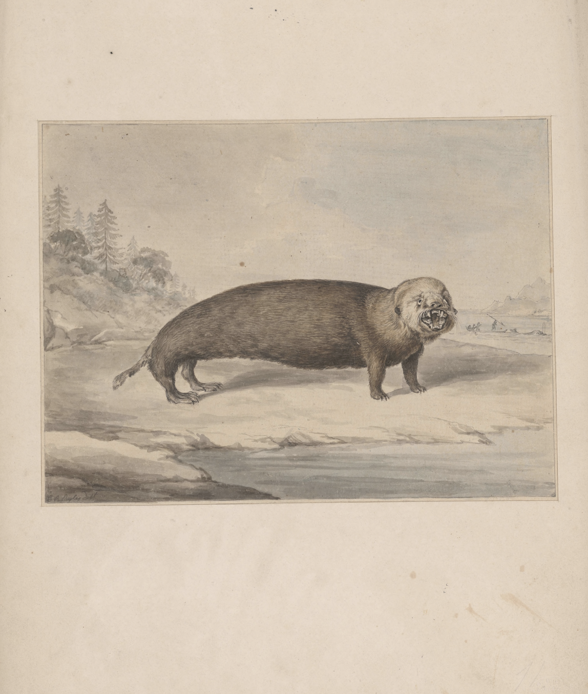 eBook illustrated animals Illustrated Monthly