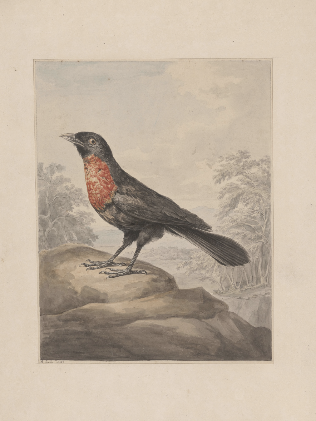 eBook illustrated animals Illustrated Monthly