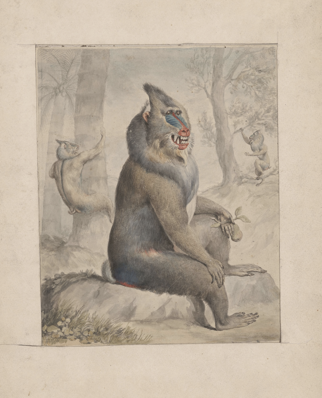 eBook illustrated animals Illustrated Monthly