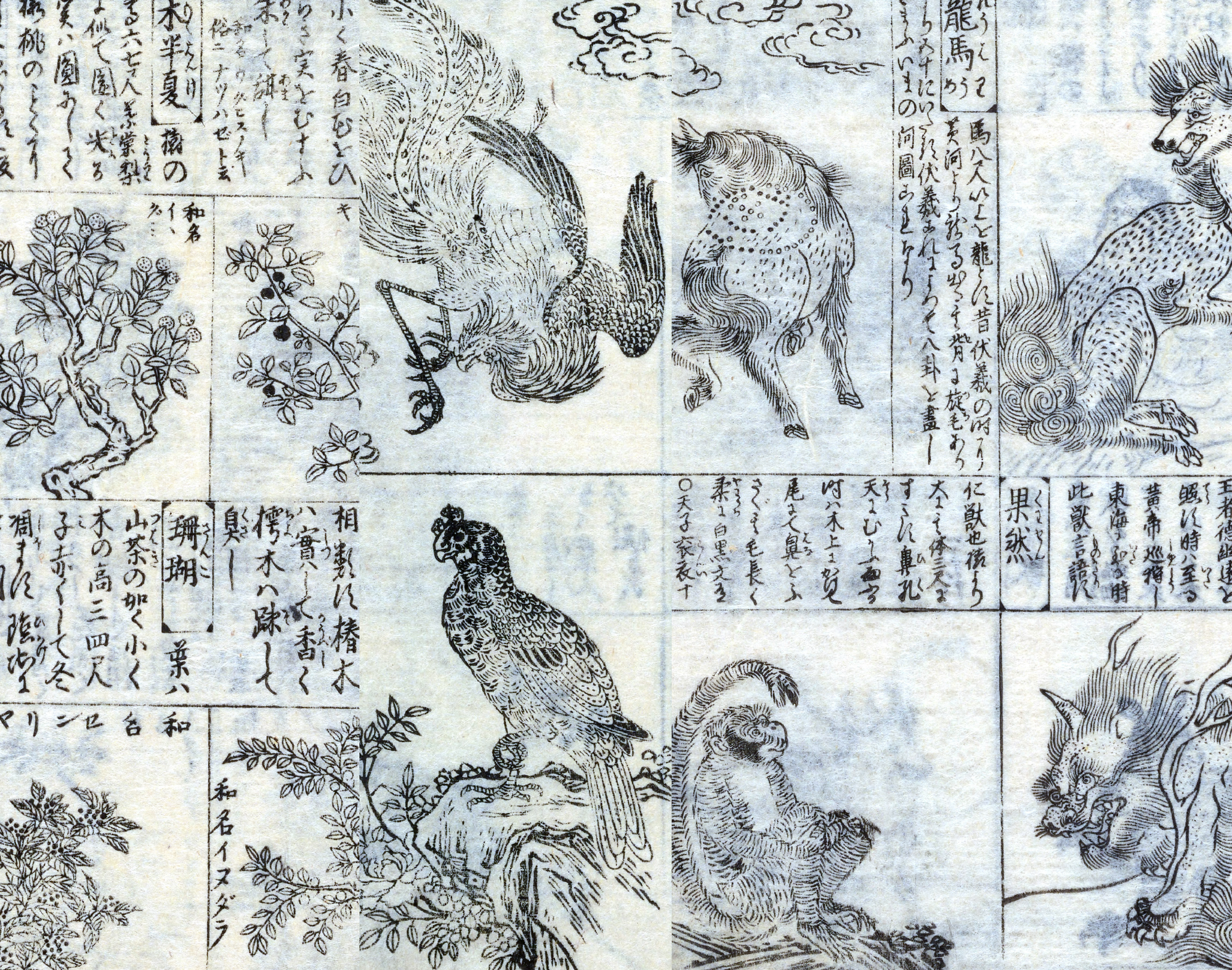 Japanese Animals & Foliage