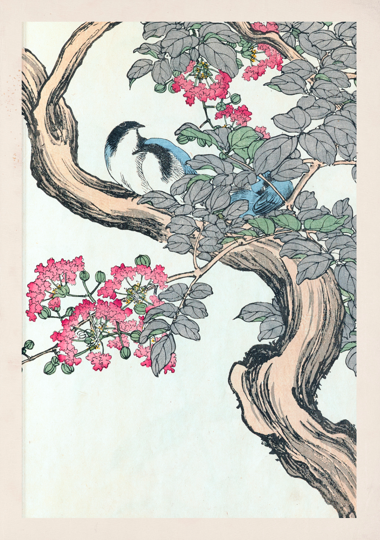 Book Japanese Birds Illustrated Monthly