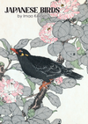 Book Japanese Birds Illustrated Monthly