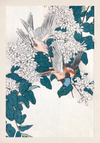 Book Japanese Birds Illustrated Monthly