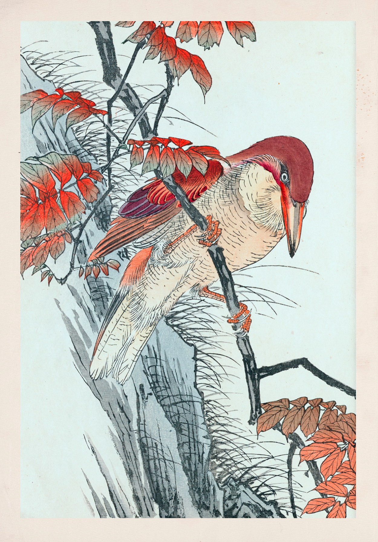 Book Japanese Birds Illustrated Monthly