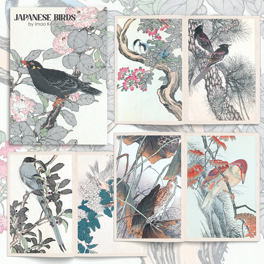 Book Japanese Birds Illustrated Monthly