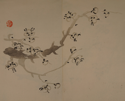 eBook Japanese Brush Plants big fish