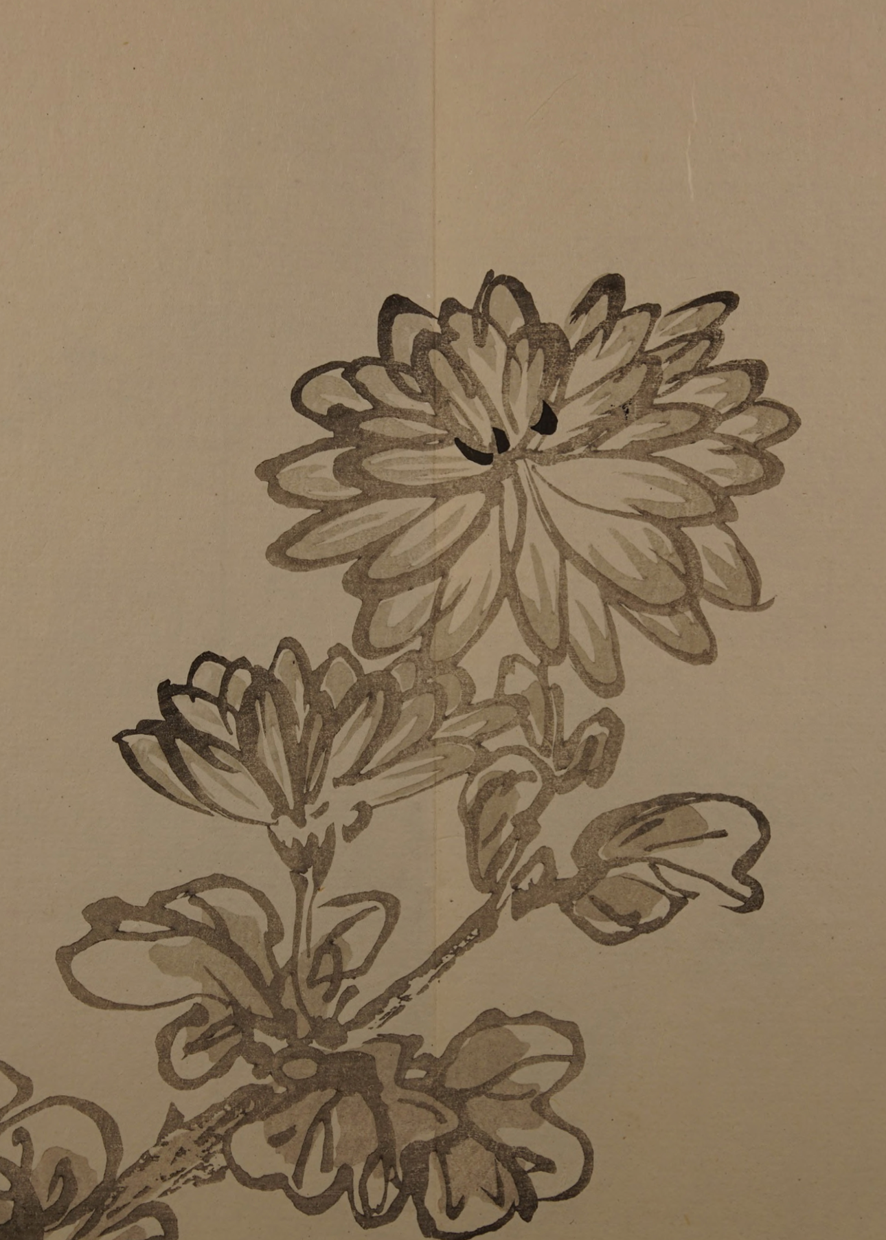 eBook Japanese Brush Plants big fish