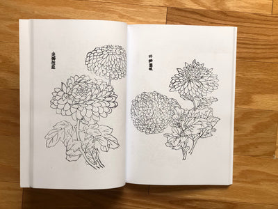 Book Japanese Foliage big fish