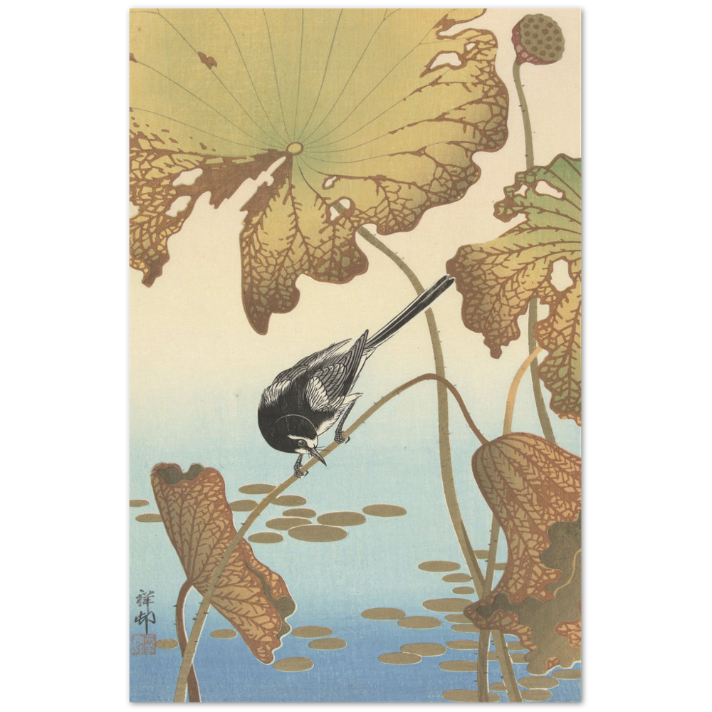 Print Material Japanese wagtail on lotus plant Gelato