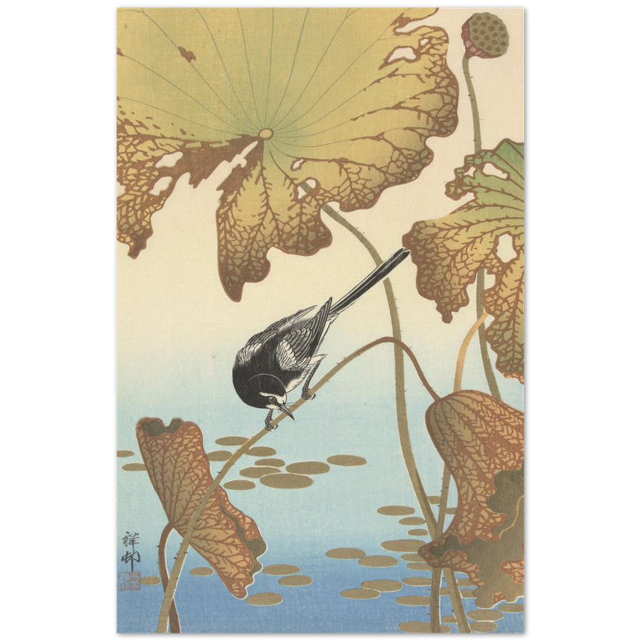 Print Material Japanese wagtail on lotus plant Gelato