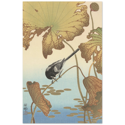 Print Material Japanese wagtail on lotus plant Gelato