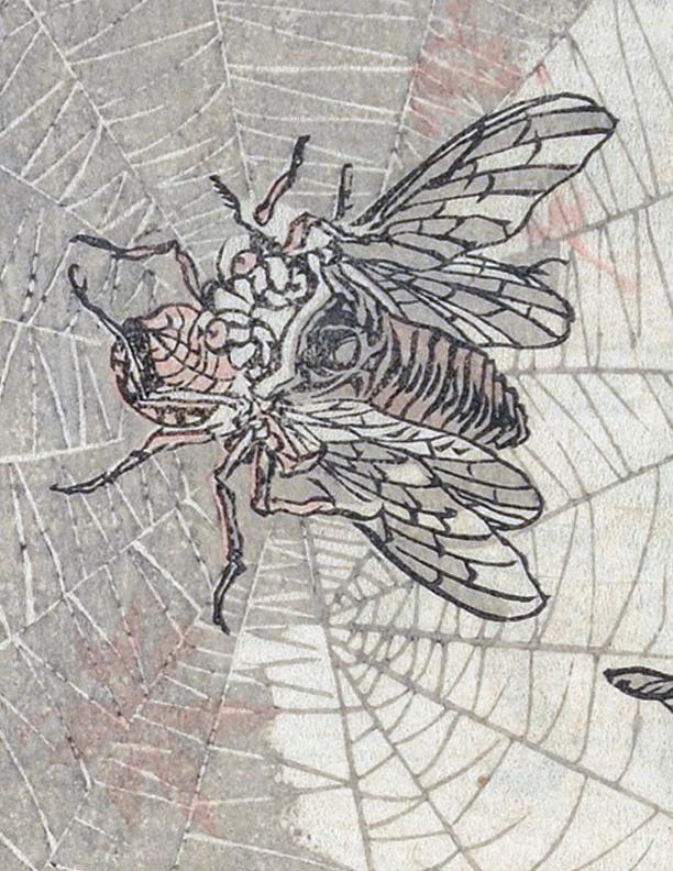 eBook Kyōsai Reference big fish