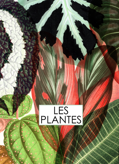 Book Les Plantes Illustrated Monthly