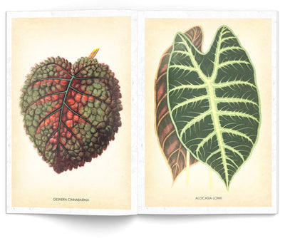 Book Les Plantes Illustrated Monthly