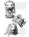 Lions, Chimeres & Gargoyles