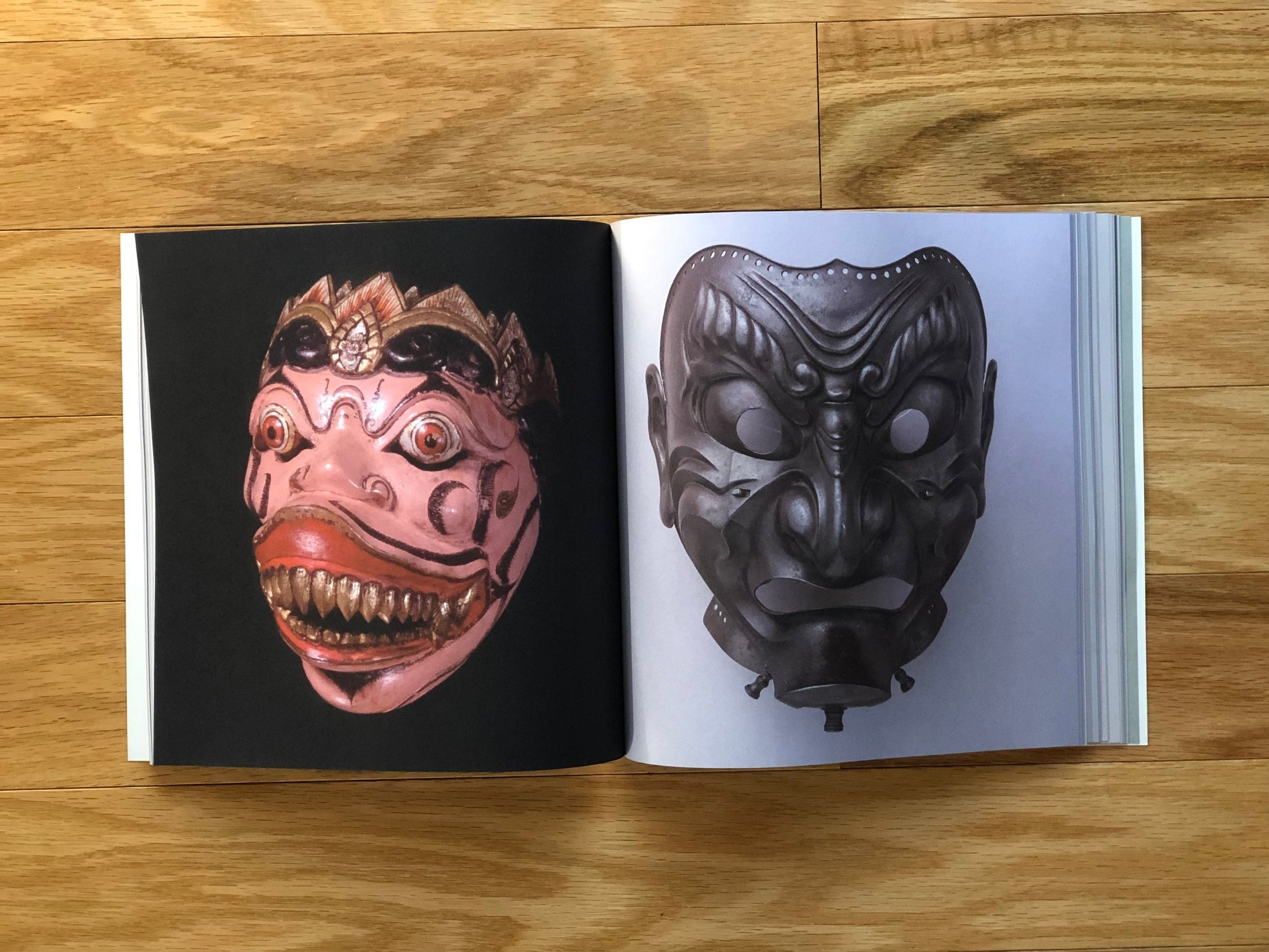 Book Mask big fish