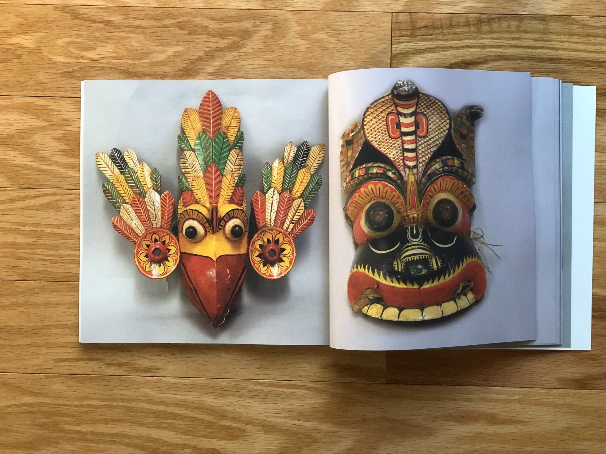 Book Mask big fish
