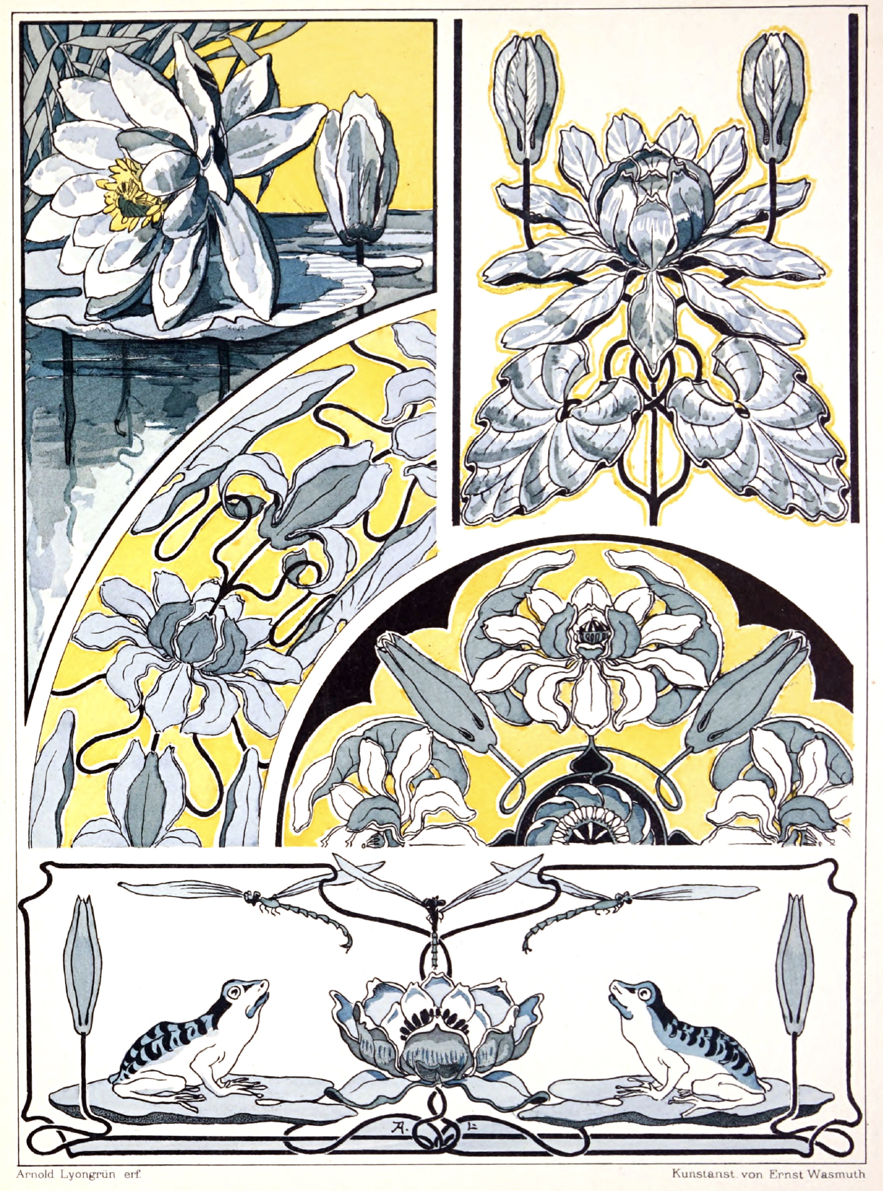 eBook neu ornament big fish