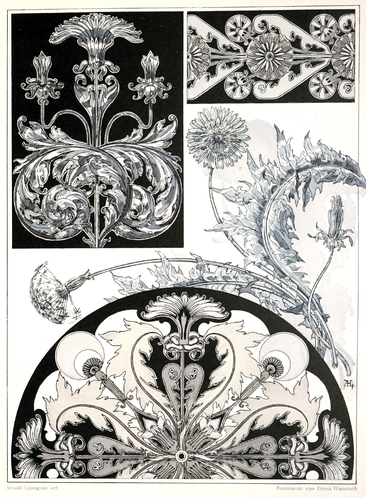 eBook neu ornament big fish