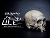 New Life: Artist Skull Ref. Vol.1