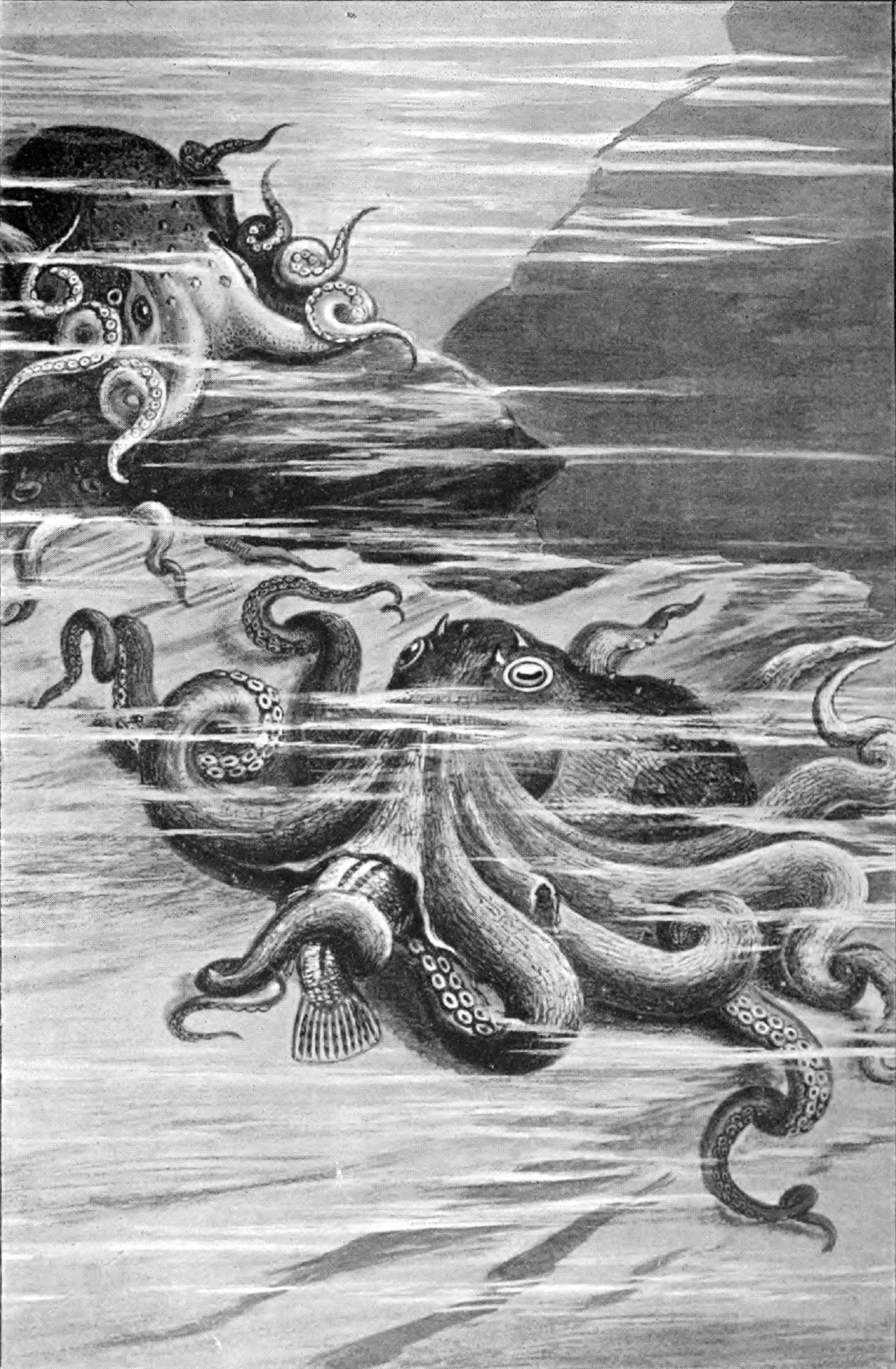 eBook of the sea big fish