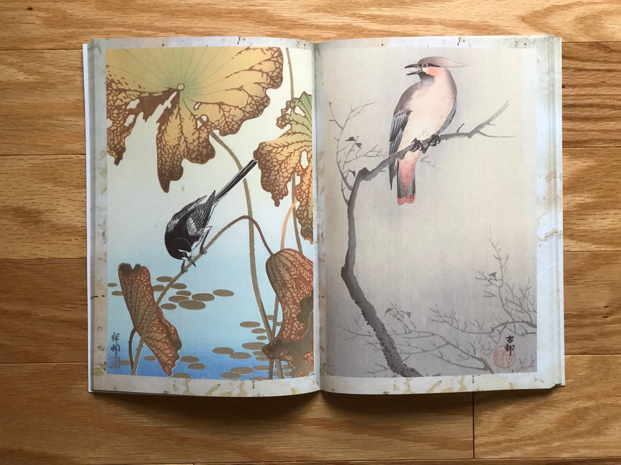 Book Ohara Koson Illustrated Monthly