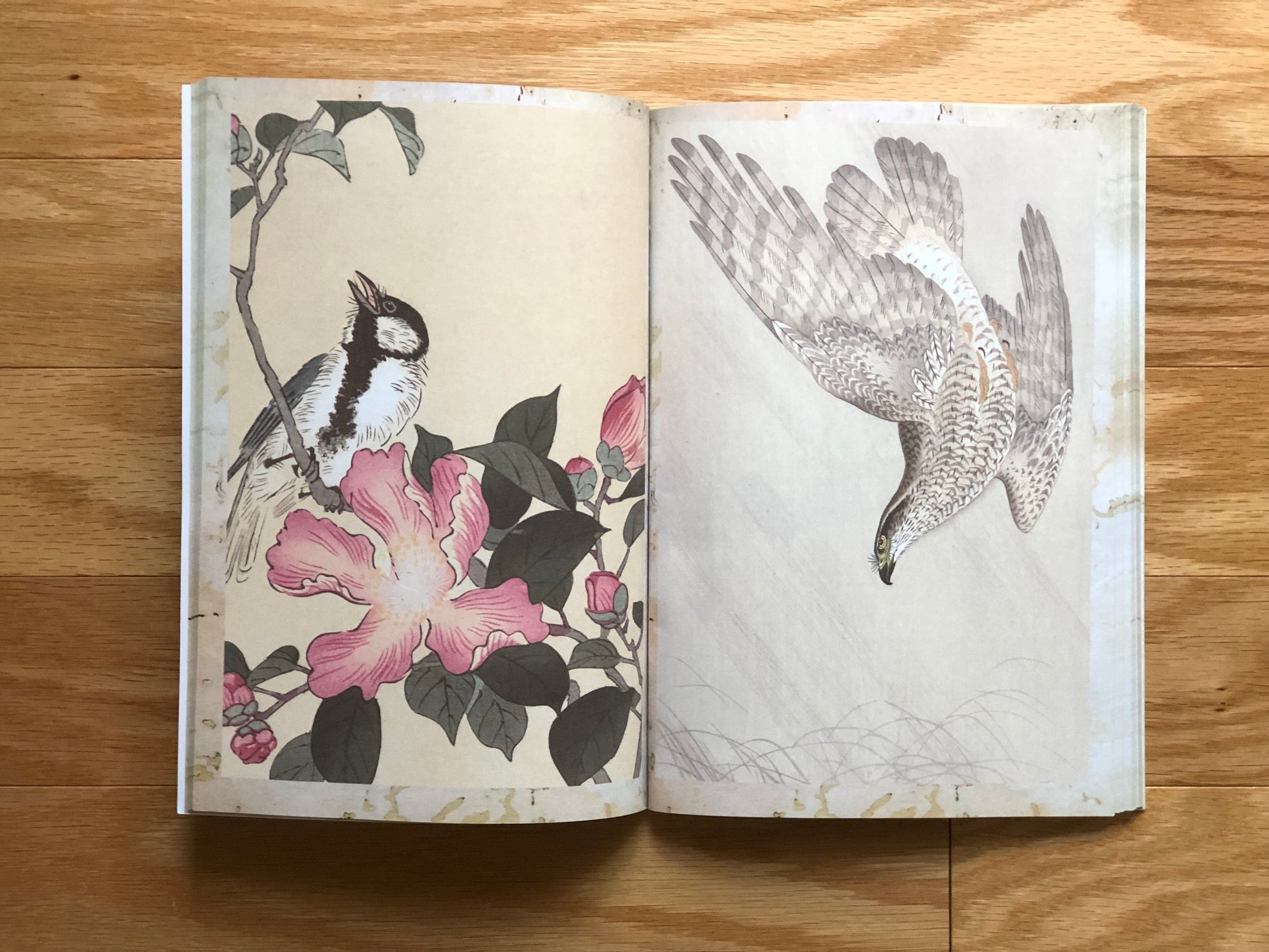 Book Ohara Koson Illustrated Monthly