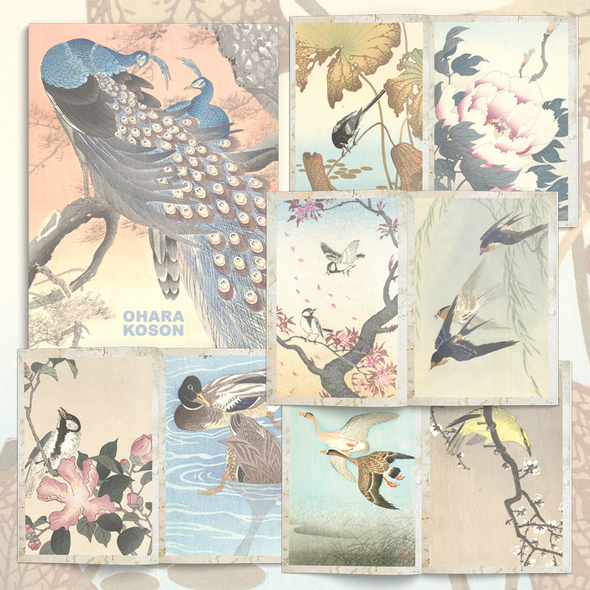 Book Ohara Koson Illustrated Monthly