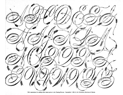 Ornate Penwork
