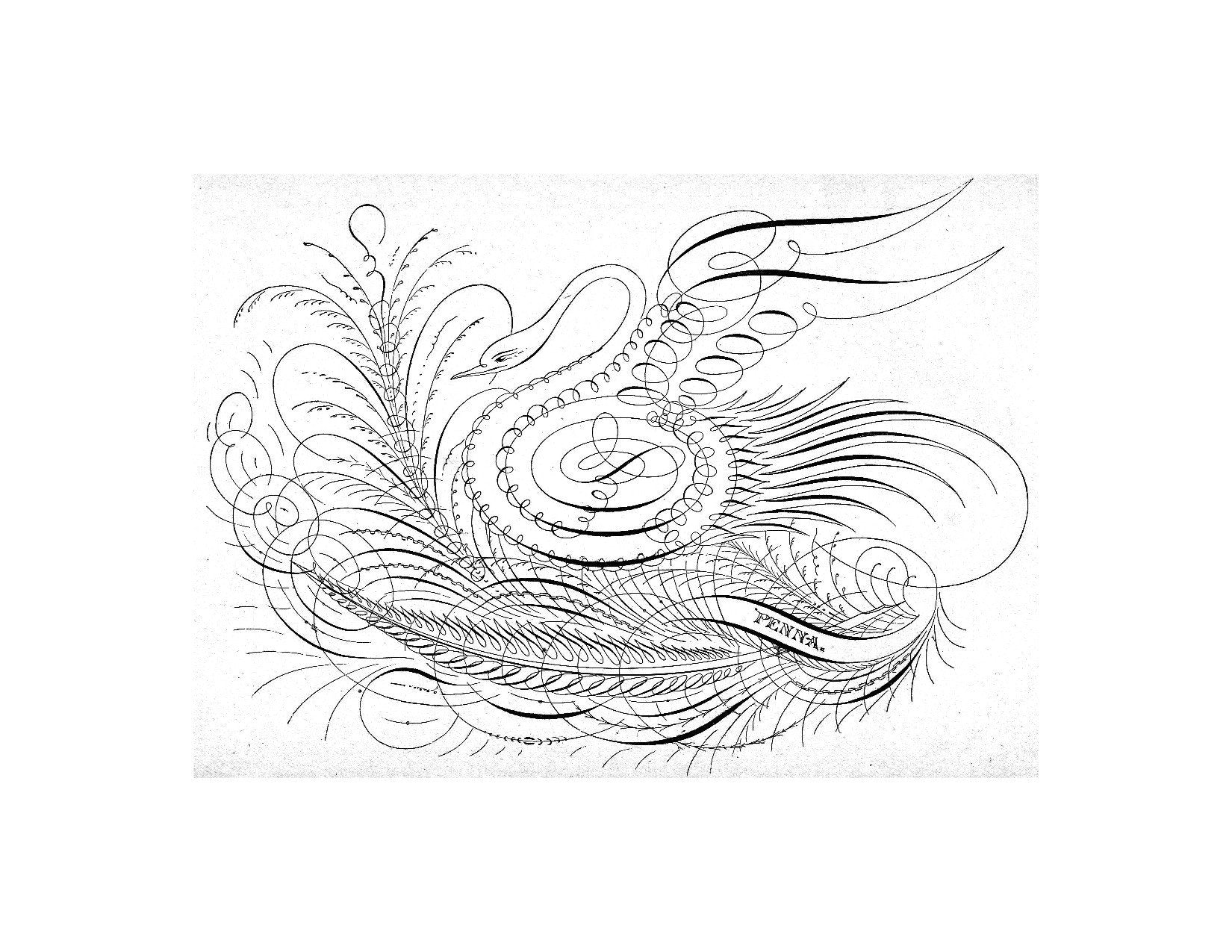 Ornate Penwork