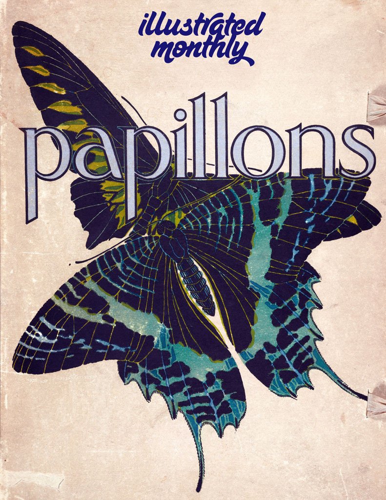eBook Papillons Illustrated Monthly