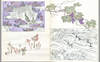 Patterns and More