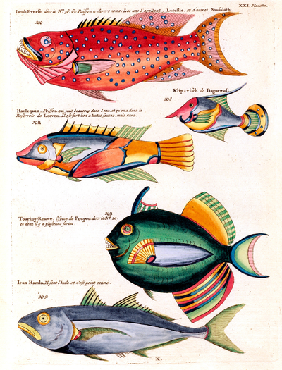 Poissons