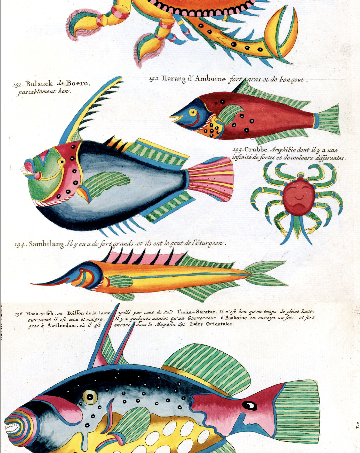 Poissons