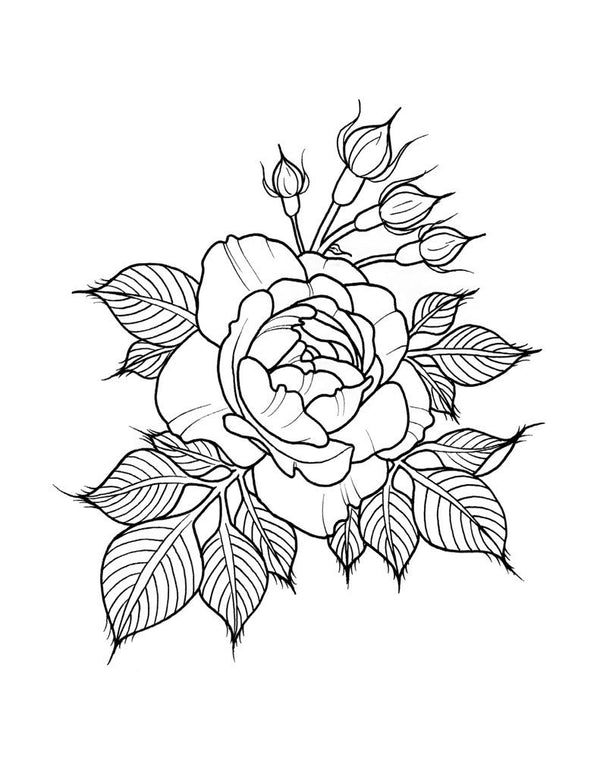 Roses by Amanda Rodriguez | eBook | Shop Illustrated Books, eBooks and ...