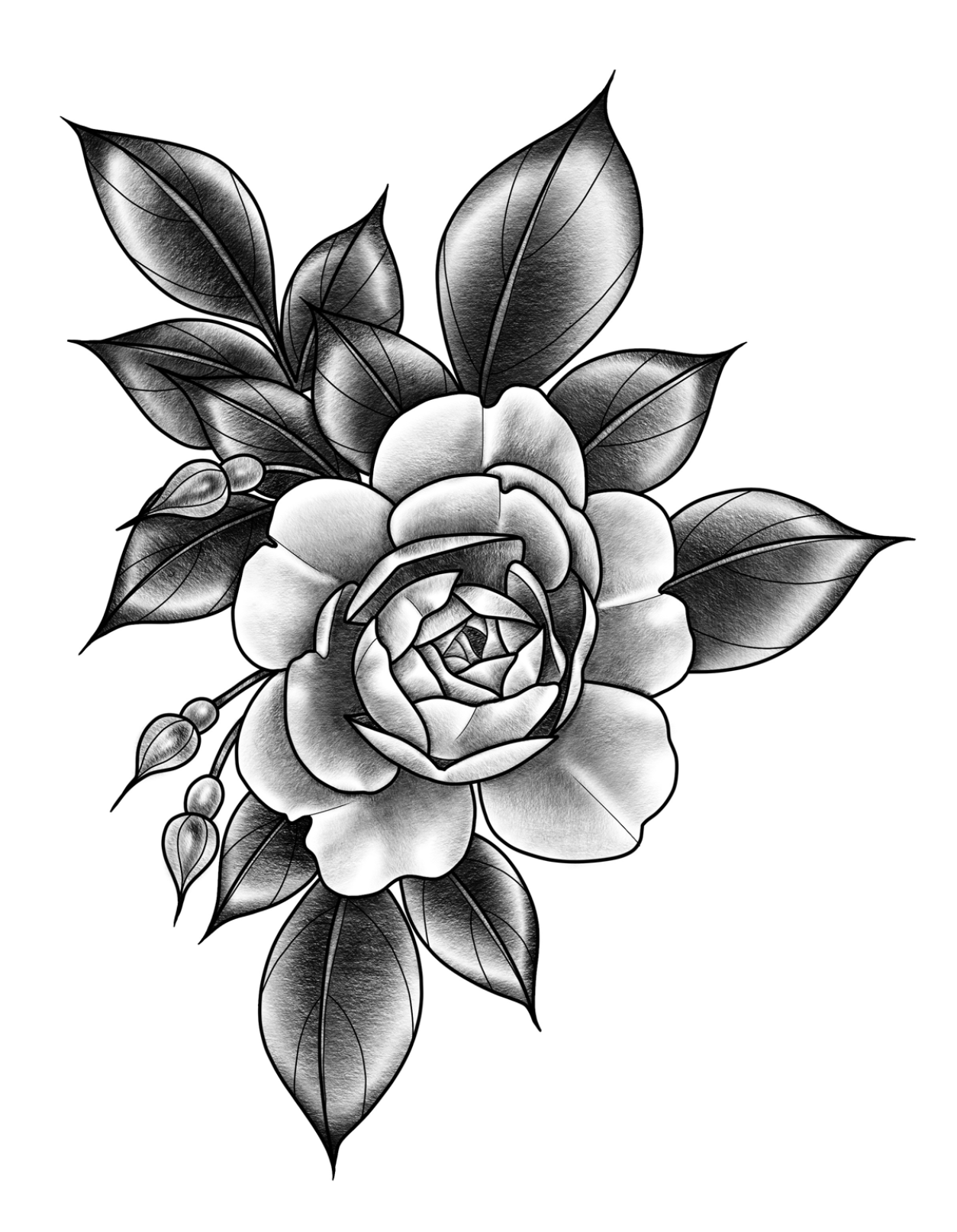 Roses v2 by Amanda Rodriguez