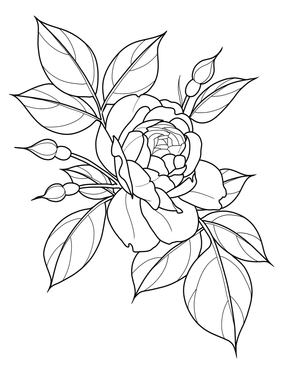 Roses v2 by Amanda Rodriguez