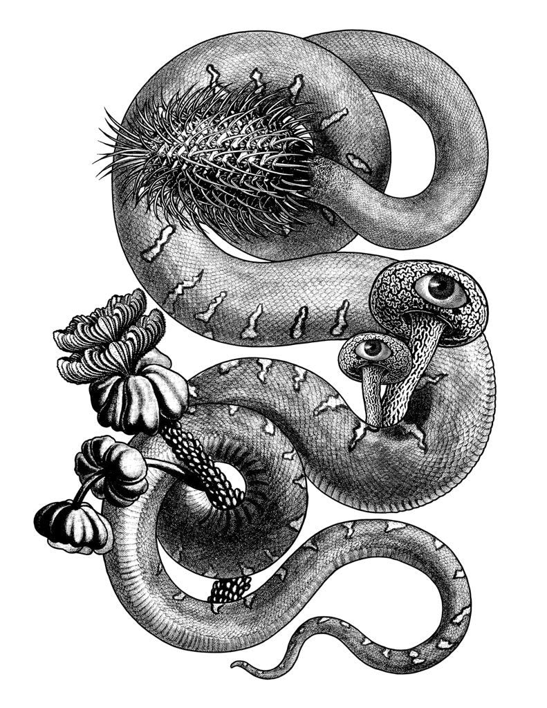 eBook Sacred Serpents Pale Horse