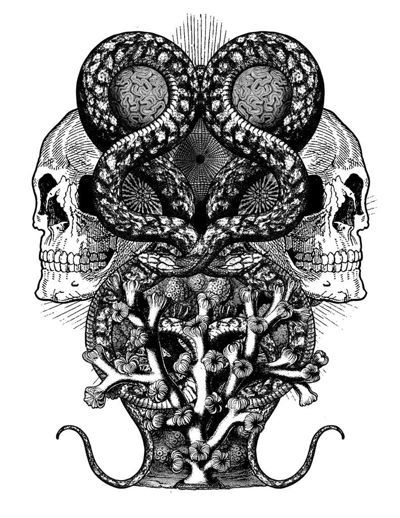 eBook Sacred Serpents Pale Horse