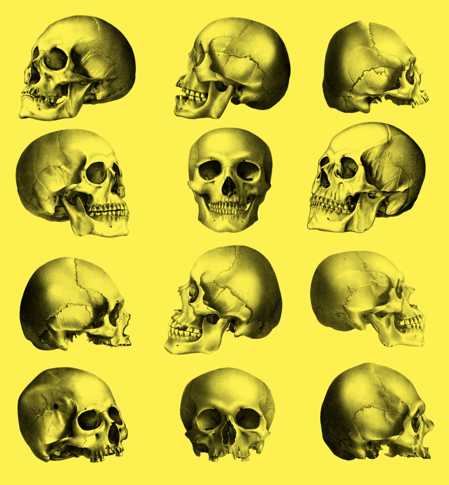 Book Skulls Illustrated Monthly