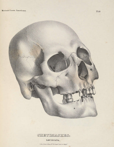 eBook Skulls Volume 1 Illustrated Monthly