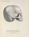 eBook Skulls Volume 1 Illustrated Monthly