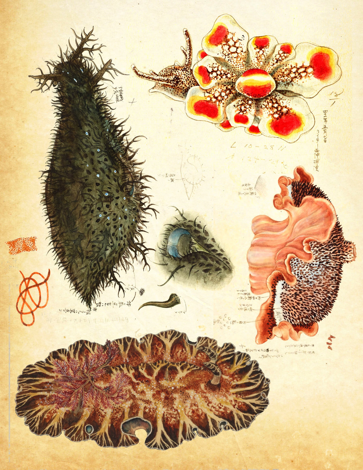 Slugs | Shop Illustrated Books, eBooks and Prints