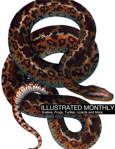 eBook Snakes, Frogs, Turtles, Lizards and More Illustrated Monthly