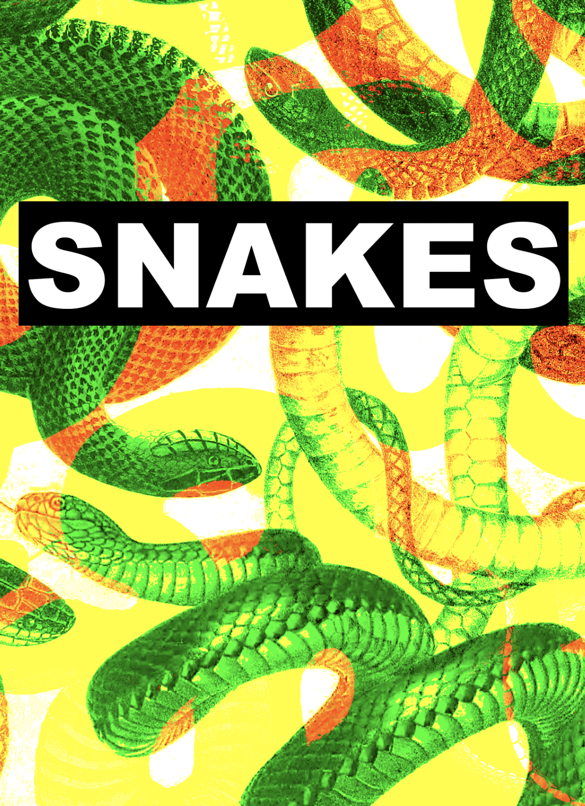 Book Snakes Illustrated Monthly