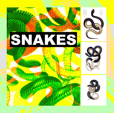 Book Snakes Illustrated Monthly