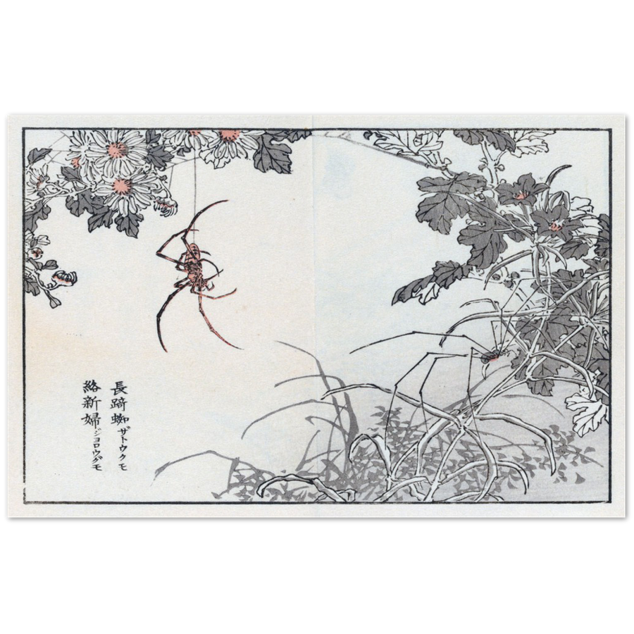 Print Material Spider Gelato