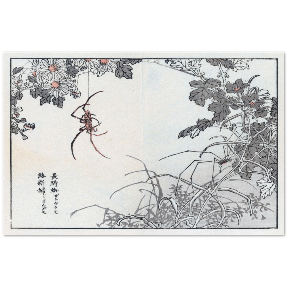 Print Material Spider Gelato